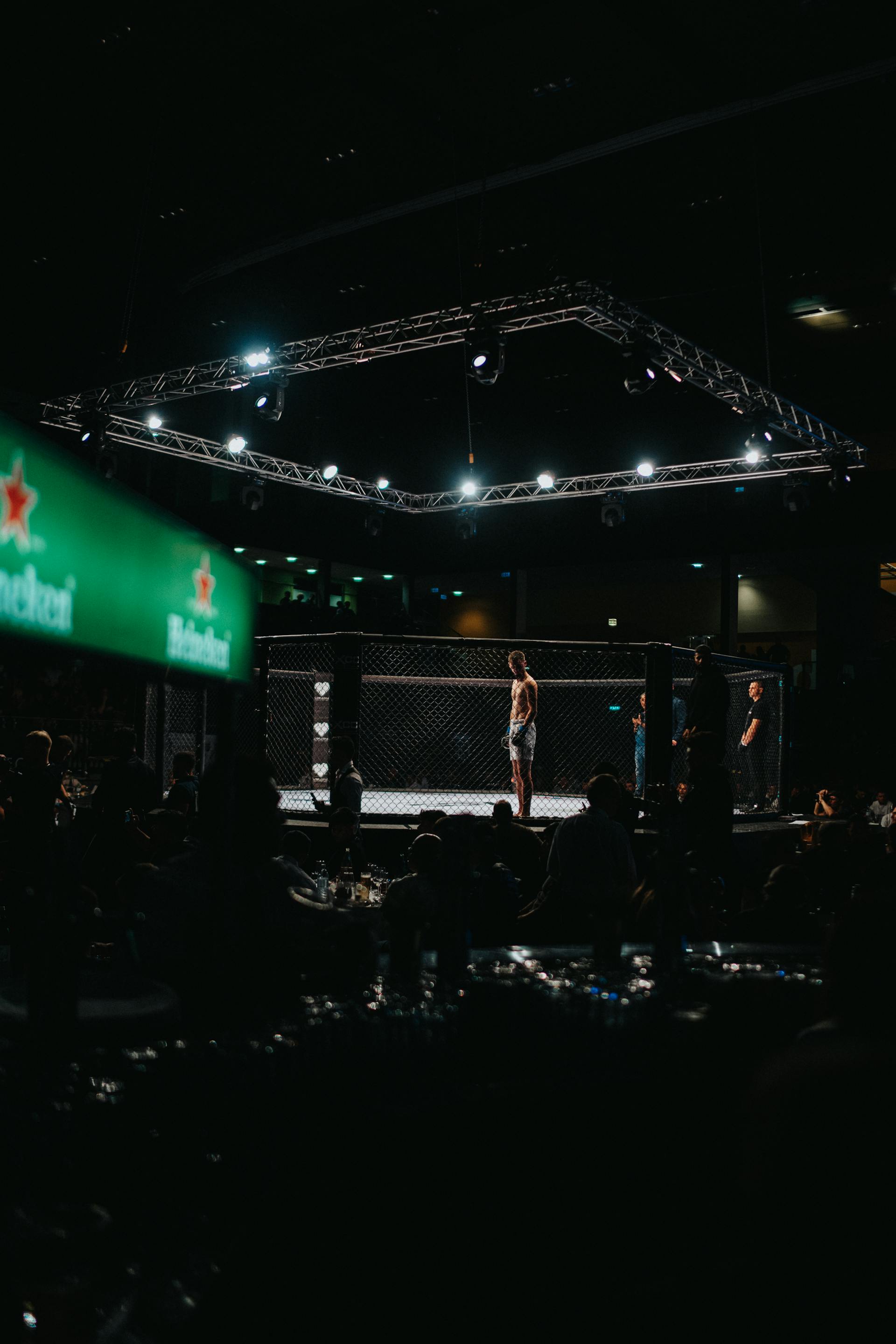 UFC Fight Night Baku arena